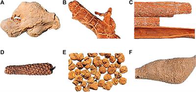 Compassionate Use of Yuanjiang Decoction, a Traditional Chinese Medicinal Prescription, for Symptomatic Bradyarrhythmia